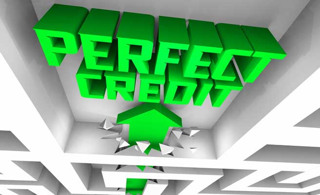 Perfect Credit Score